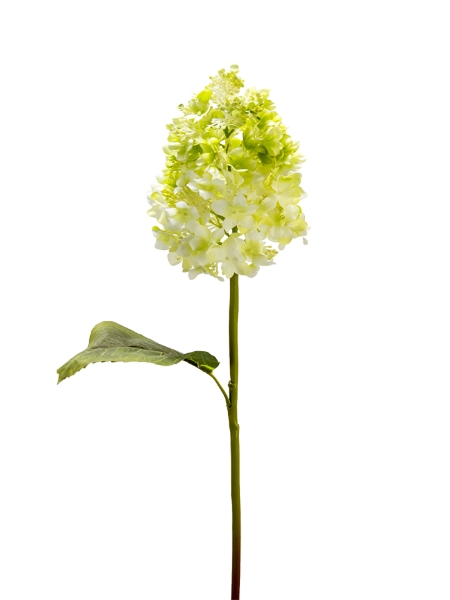 Picture of 25" REAL TOUCH CONE HYDRANGEA 