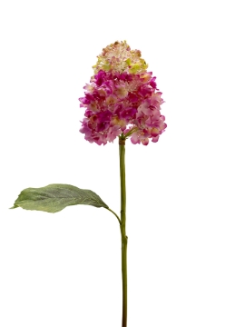 Picture of 25" REAL TOUCH CONE HYDRANGEA 