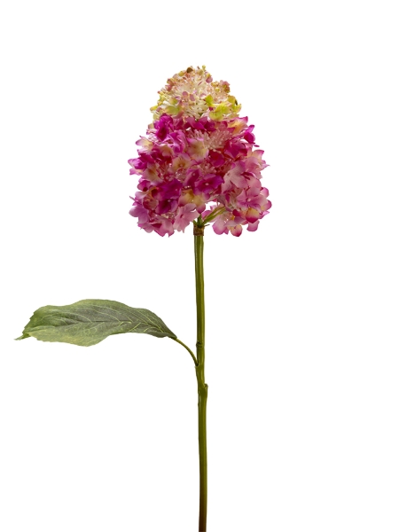 Picture of 25" REAL TOUCH CONE HYDRANGEA 