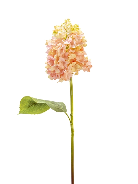 Picture of 25" REAL TOUCH CONE HYDRANGEA 