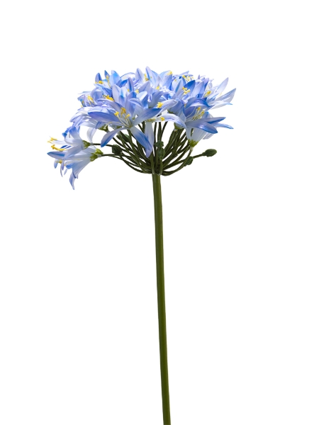 Picture of 31" REAL TOUCH AGAPANTHUS STEM