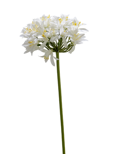 Picture of 31" REAL TOUCH AGAPANTHUS STEM