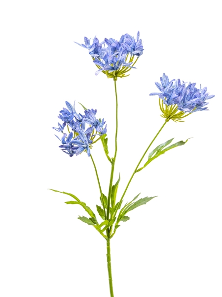 Picture of 29" AGAPANTHUS SPRAY