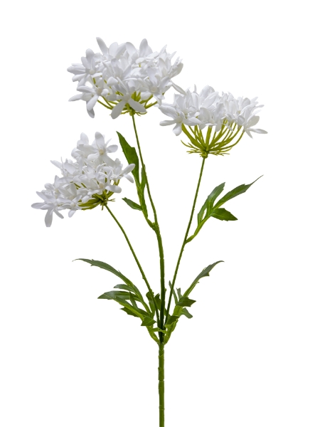 Picture of 29" AGAPANTHUS SPRAY