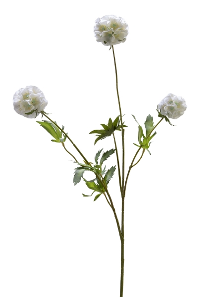 Picture of 29" SCABIOSA  SPRAY