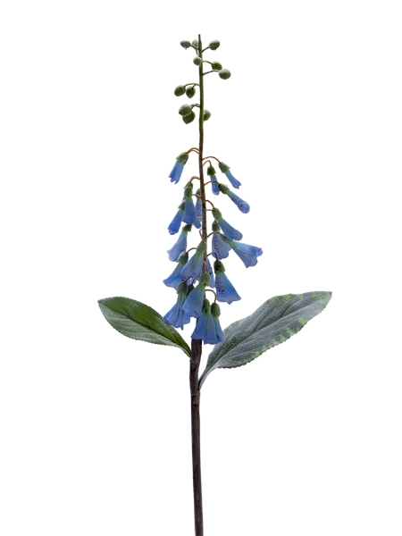 Picture of 36" FOXGLOVE SPRAY