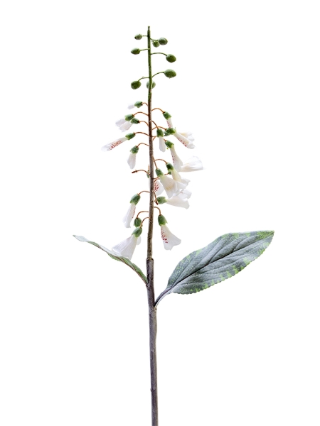 Picture of 36" FOXGLOVE SPRAY
