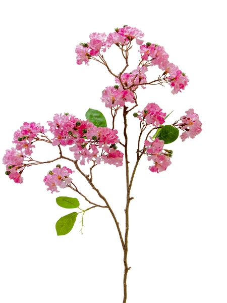 Picture of 36" CRAPE MYRTLE BUSH