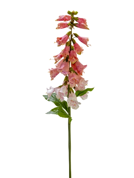 Picture of 31" FOXGLOVE SPRAY