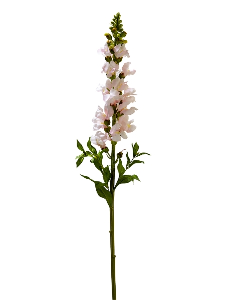 Picture of 34" REAL TOUCH SNAPDRAGON