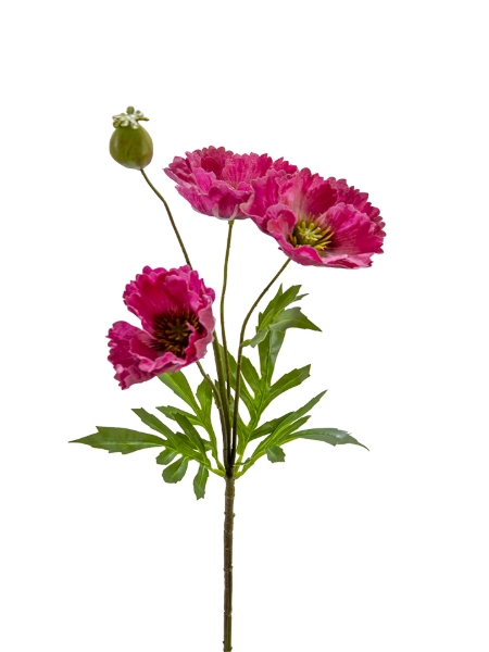 Picture of 27" POPPY SPRAY