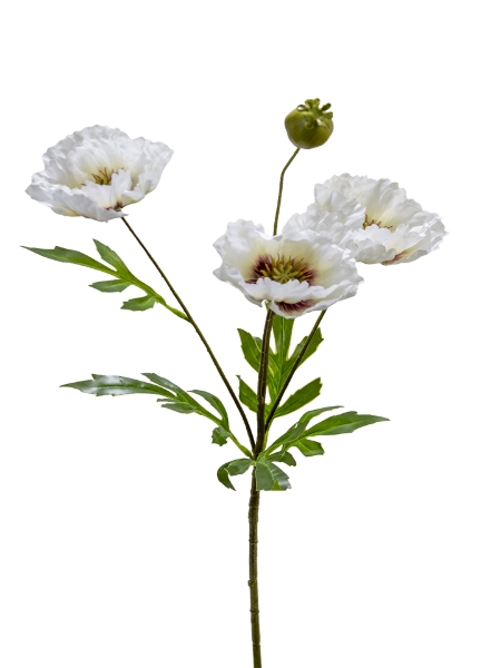 Picture of 27" POPPY SPRAY