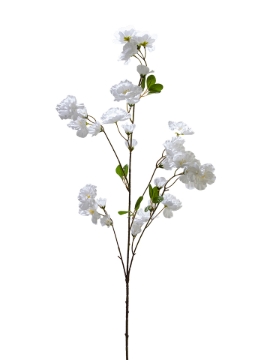 Picture of 41" BUTTERFLY RANUCULUS SPRAY