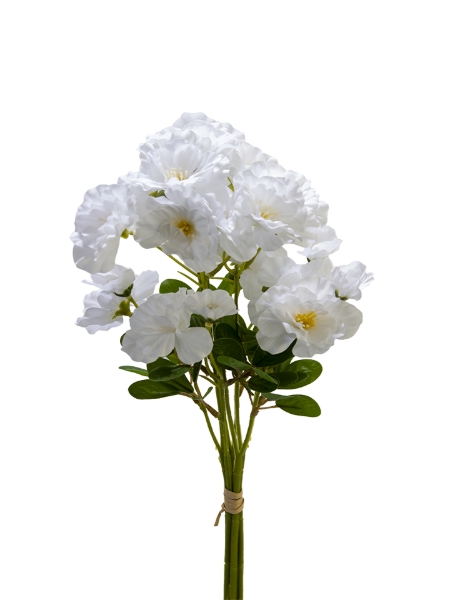 Picture of 18" BUTTERFLY RANCULUS BUNDLE