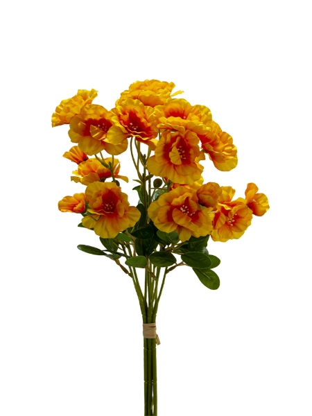 Picture of 18" BUTTERFLY RANCULUS BUNDLE