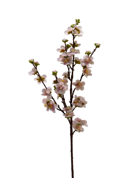 Picture of 31" REAL TOUCH PLUM BLOSSOM 
