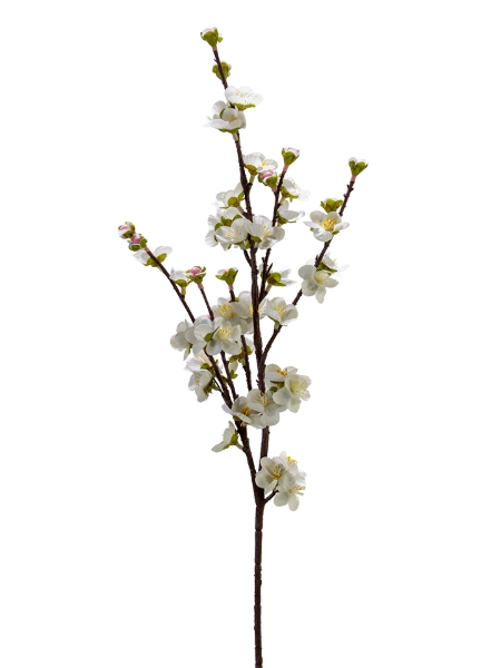 Picture of 31" REAL TOUCH PLUM BLOSSOM 