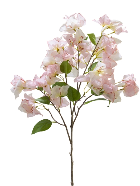 Picture of 41" BOUGAINVILLEA SPRAY