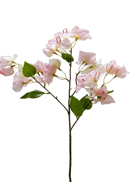 Picture of 28" BOUGAINVILLEA SPRAY