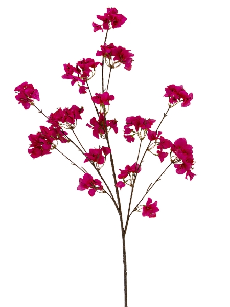 Picture of 51" BOUGAINVILLEA BUSH