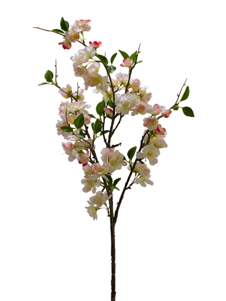 Picture of 36" CHERRY BLOSSOM SPRAY
