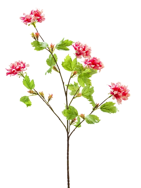 Picture of 38" GERANIUM SPRAY