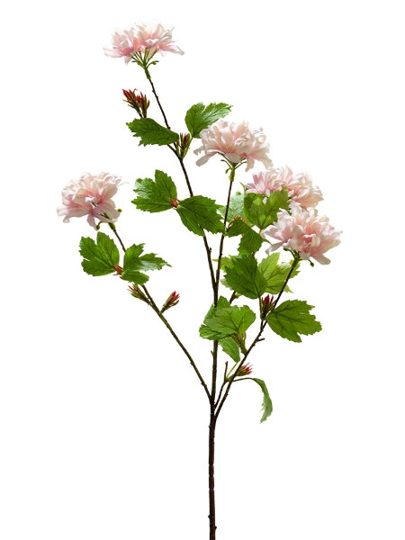 Picture of 38" GERANIUM SPRAY