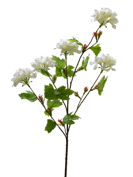 Picture of 38" GERANIUM SPRAY