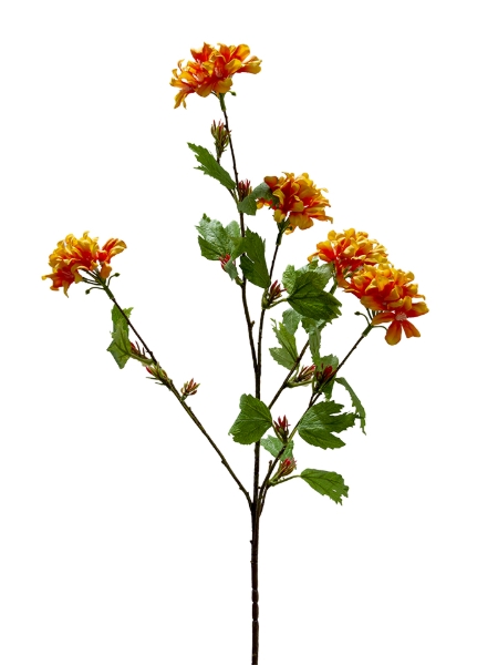 Picture of 38" GERANIUM SPRAY