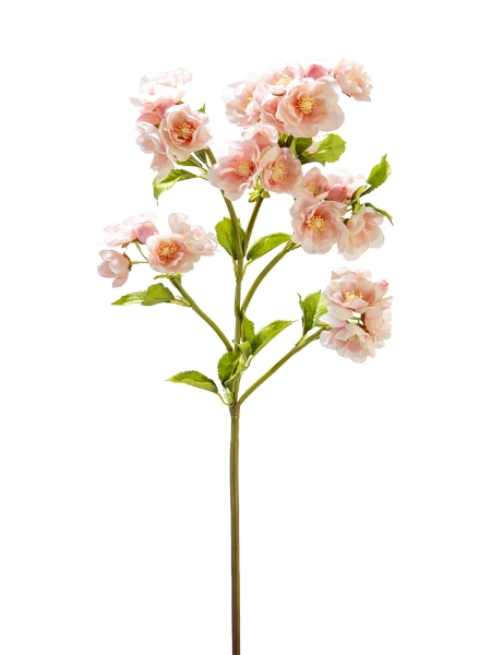 Picture of 31" CHERRY BLOSSOM