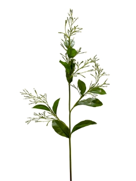 Picture of 33" NIGHT-BLOOMING JASMINE SPRAY