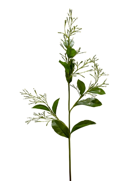 Picture of 33" NIGHT-BLOOMING JASMINE SPRAY