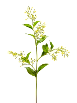 Picture of 33" NIGHT-BLOOMING JASMINE SPRAY