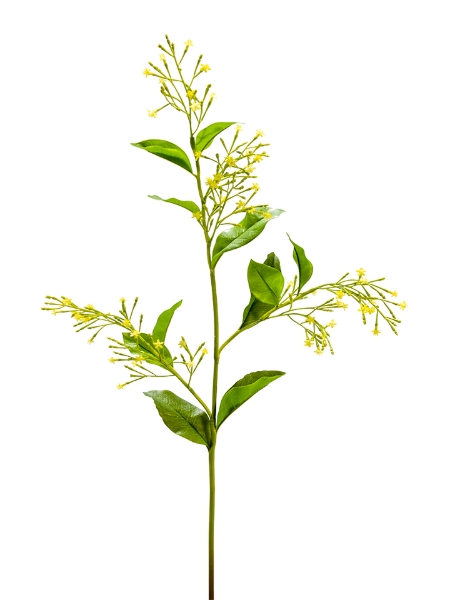 Picture of 33" NIGHT-BLOOMING JASMINE SPRAY