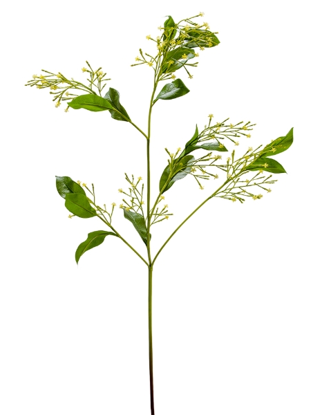 Picture of 42" NIGHT-BLOOMING JASMINE SPRAY