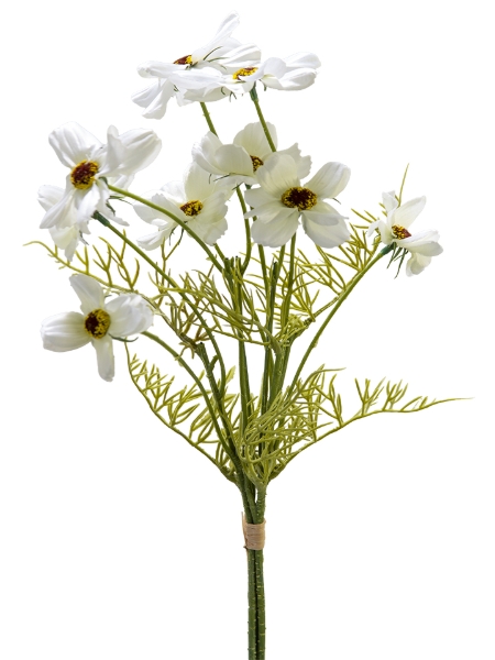 Picture of 21" COSMOS BUNDLE