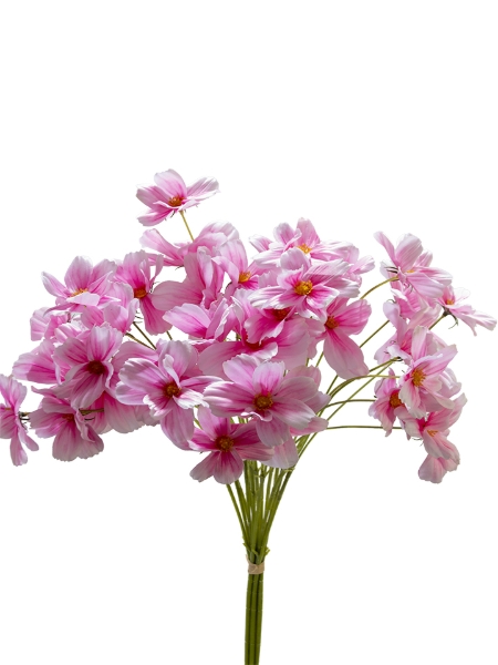 Picture of 34" COSMOS BLOSSOM