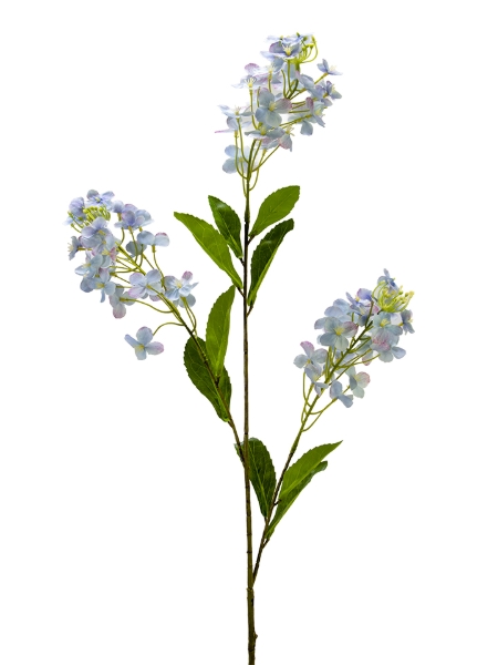 Picture of 38" RAPESEED FLOWER SPRAY