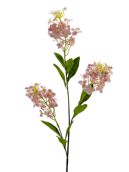 Picture of 38" RAPESEED FLOWER SPRAY
