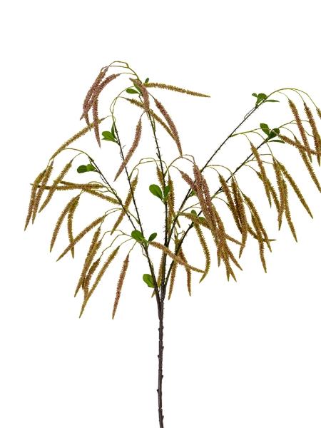 Picture of 49" FOXTAIL SPRAY