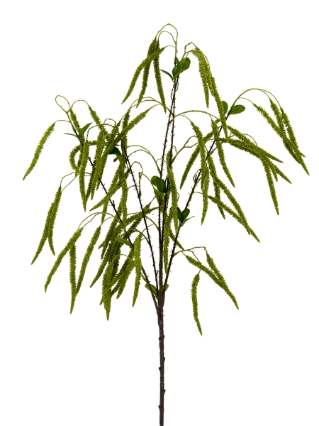 Picture of 49" FOXTAIL SPRAY