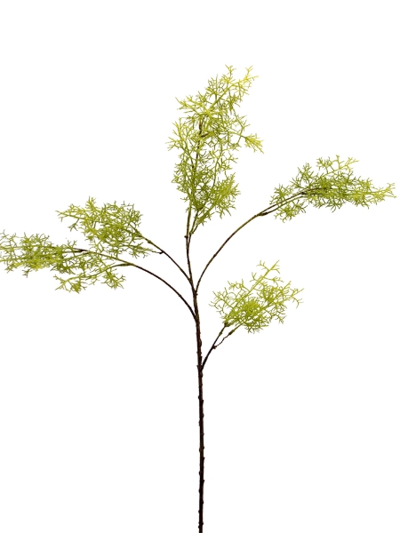 Picture of 36" SMOKE TREE SPRAY