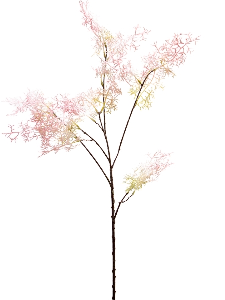 Picture of 36" SMOKE TREE SPRAY