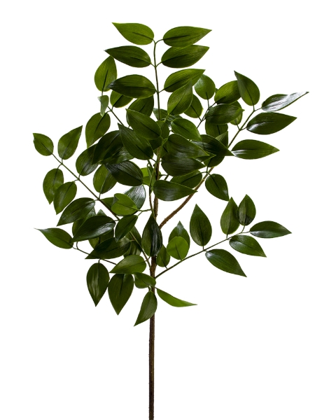 Picture of 37" NAGI SPRAY