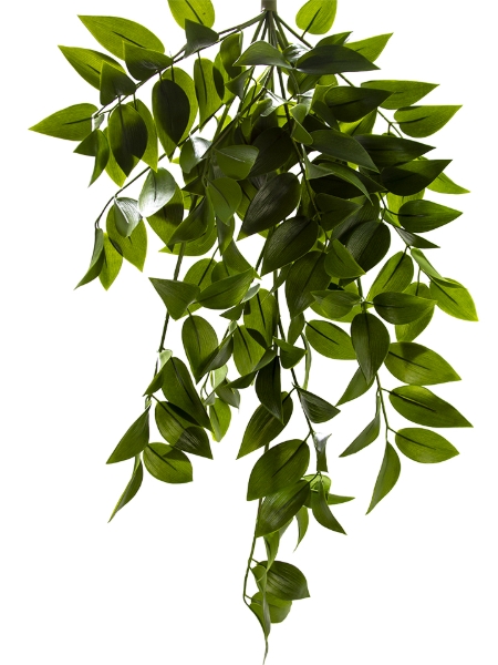 Picture of 30" NAGI HANGING BUSH