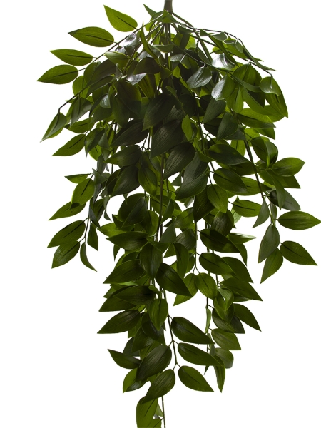 Picture of 40" NAGI HANGING BUSH