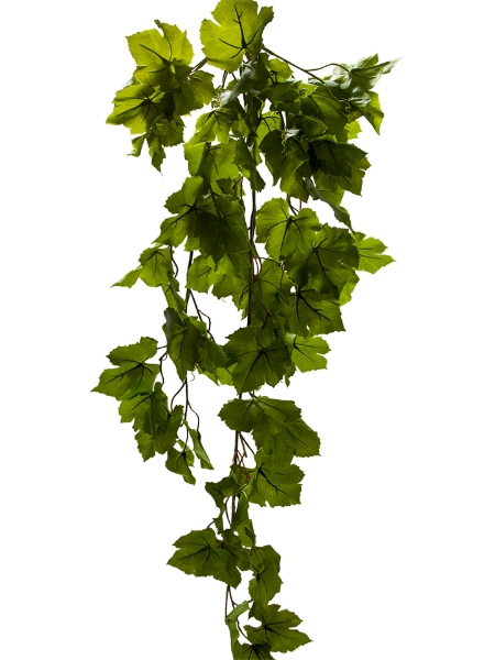 Picture of 40" GRAPE LEAF HANGING BUSH
