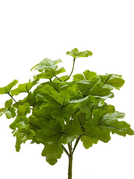 Picture of 15" HEUCHERA BUSH