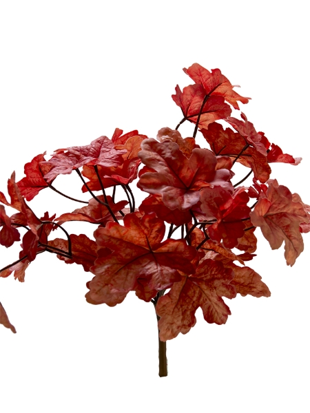Picture of 15" HEUCHERA BUSH