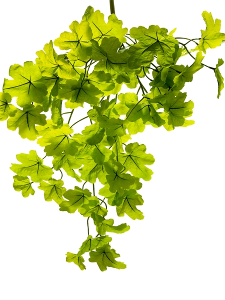 Picture of 26" HEUCHERA HANGING BUSH